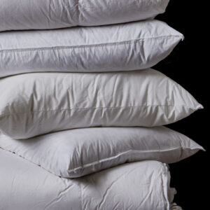 DOWN Pillow Inserts - TL at Home