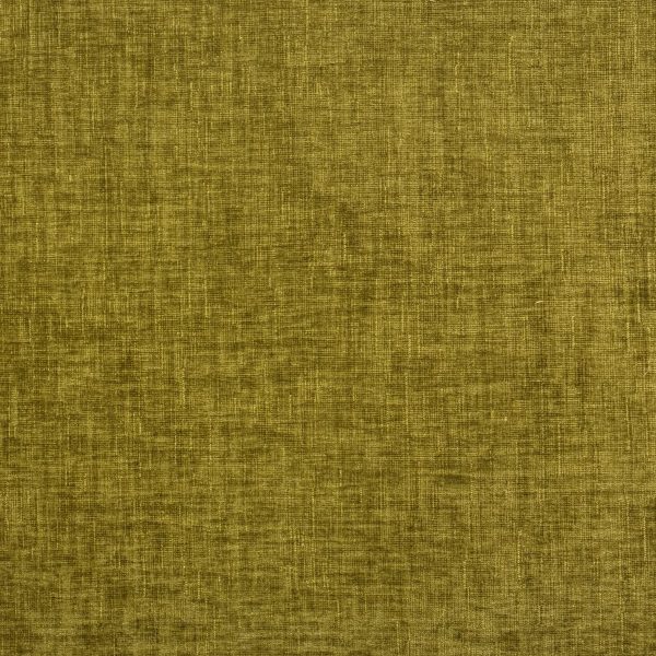 Millbrook Olive